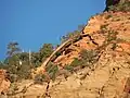 Crawford Arch on Bridge Mountain
