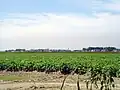 Creil as seen from a distance over crop fields.