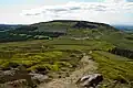 Cringle Moor from Cold Moor