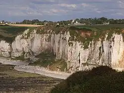 A general view of Criquebeuf-en-Caux
