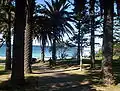 Cronulla Park