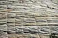 Cross-bedded Navajo Sandstone with subvertical expansion-contraction cracks