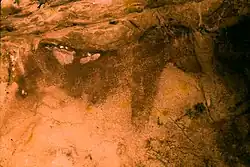weathered cave paintings of faintly striped equids