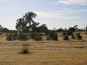 View east of Cullacabardee