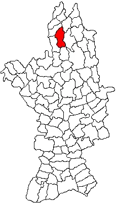 Location in Olt County