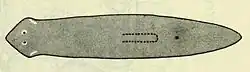 A medium-dark, oblong flatworm with a round, triangular head and two small eyes.