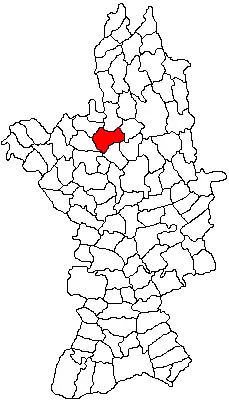 Location in Olt County