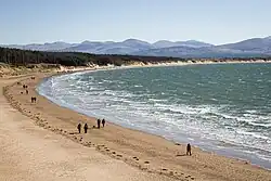 The beach from the west near the island, with Newborough Forest behind the beach and Snowdonia (Eryri) in the background.