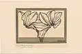 Cyclamen (1920)[27]