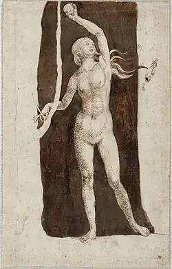 Final drawing of Eve, c. 1506, pen and brush, 26.2 x 16.5 cm, Albertina (3081v)