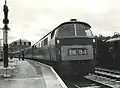 Western Prince in maroon livery