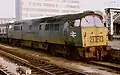 Western Patriarch in rail blue livery