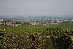 View on Rhodt from Weyher