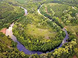 A river in the wood