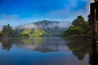 Windy Reach, Daintree Village, 2016