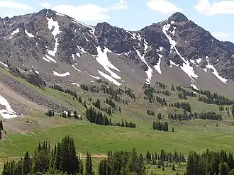 Daisy Pass near Cooke City, Montana
