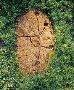 The Dalgarven Mill cup and ring mark stone.
