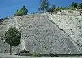 Fossil-bearing strata