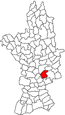 Location in Olt County