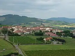 A general view of Dareizé