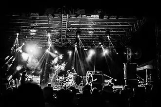Dark Horses live at Zanne Festival, 2014