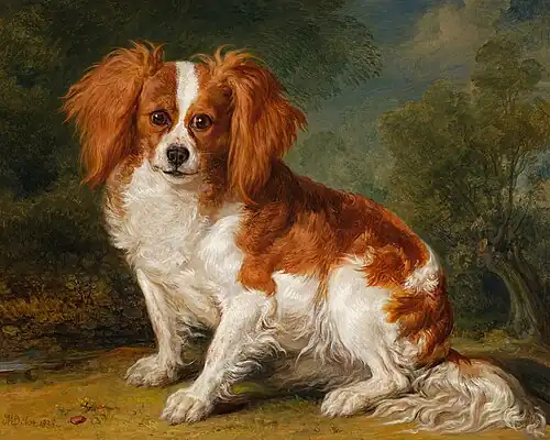 Portrait of Dash, the Artist's Dog by James Ward