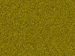 Generation 0: random initial configuration