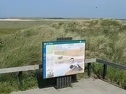 De Slufter, a nature reserve on Texel