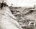 Dead Confederates in the "Bloody Lane" road.