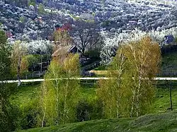 Dealu Frumos village