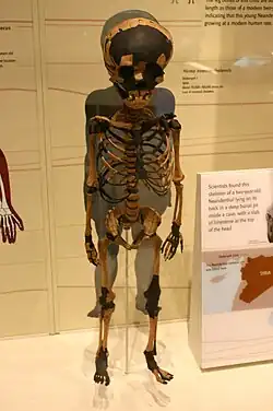 Dederiyeh 1. two-year-old Neanderthal, dated 70 kya-50 kya