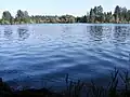 Calm lake with trees on the opposite side in the distance