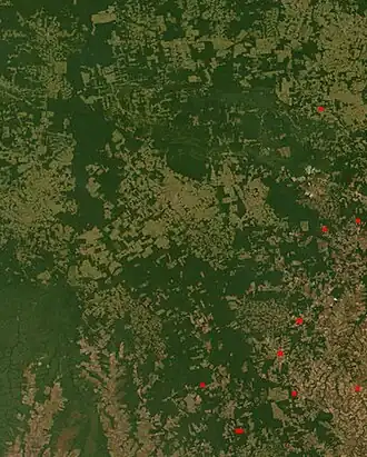 NASA FIRMS satellite observation of deforestation in the Mato Grosso state of Brazil. Transformation from forest to farm is evident by lighter square shaped areas.