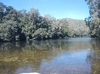 Crossing the Bloomfield River at Degarra