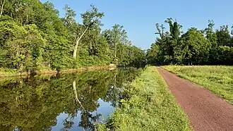 Canal and towpath