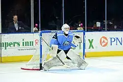 Denis Tsaruk in goal for the Jacksonville Icemen