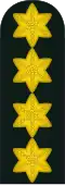 General (Royal Danish Army)[11]