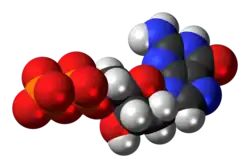 Space-filling model of the deoxyguanosine diphosphate anion