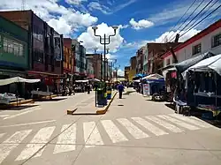 Desaguadero district