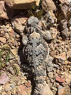 At Death Valley National Park, California