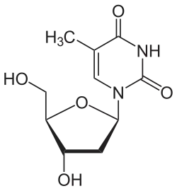 Chemical structure of thymidine