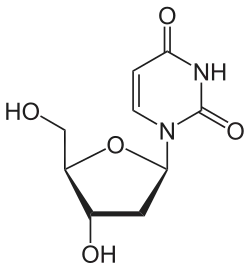 Chemical structure of deoxyuridine