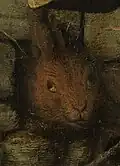 Hare
