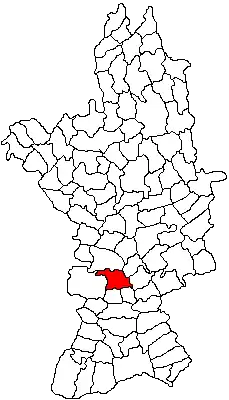 Location in Olt County