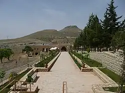 The tree-lined path to the monastery