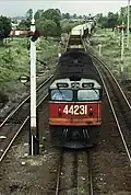 44231