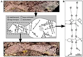 Chacarilla formation, a geologic site with dinosaur tracks.