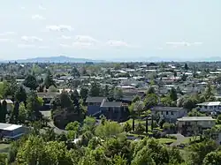 Dinsdale, Hamilton