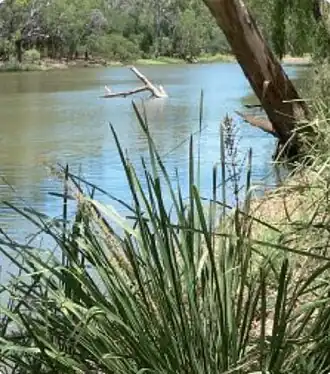 Dipperu National Park, 2011