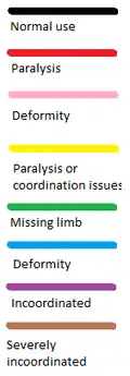 Colour guide for understanding full body diagrams